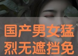 国产情侣免费视频,浪漫瞬间，甜蜜共享