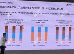 2019在线国产,创新与变革的年度盘点