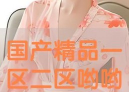 国产精品视频区