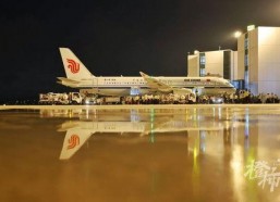 第一区国产,第一区国产生态发展概览